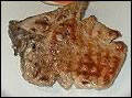 Bistecchine di maiale