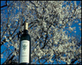 Vino Nobile di Montepulciano D.O.C.G.